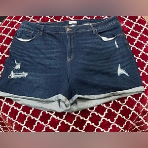 AVA & VIV Shorts Size 24W